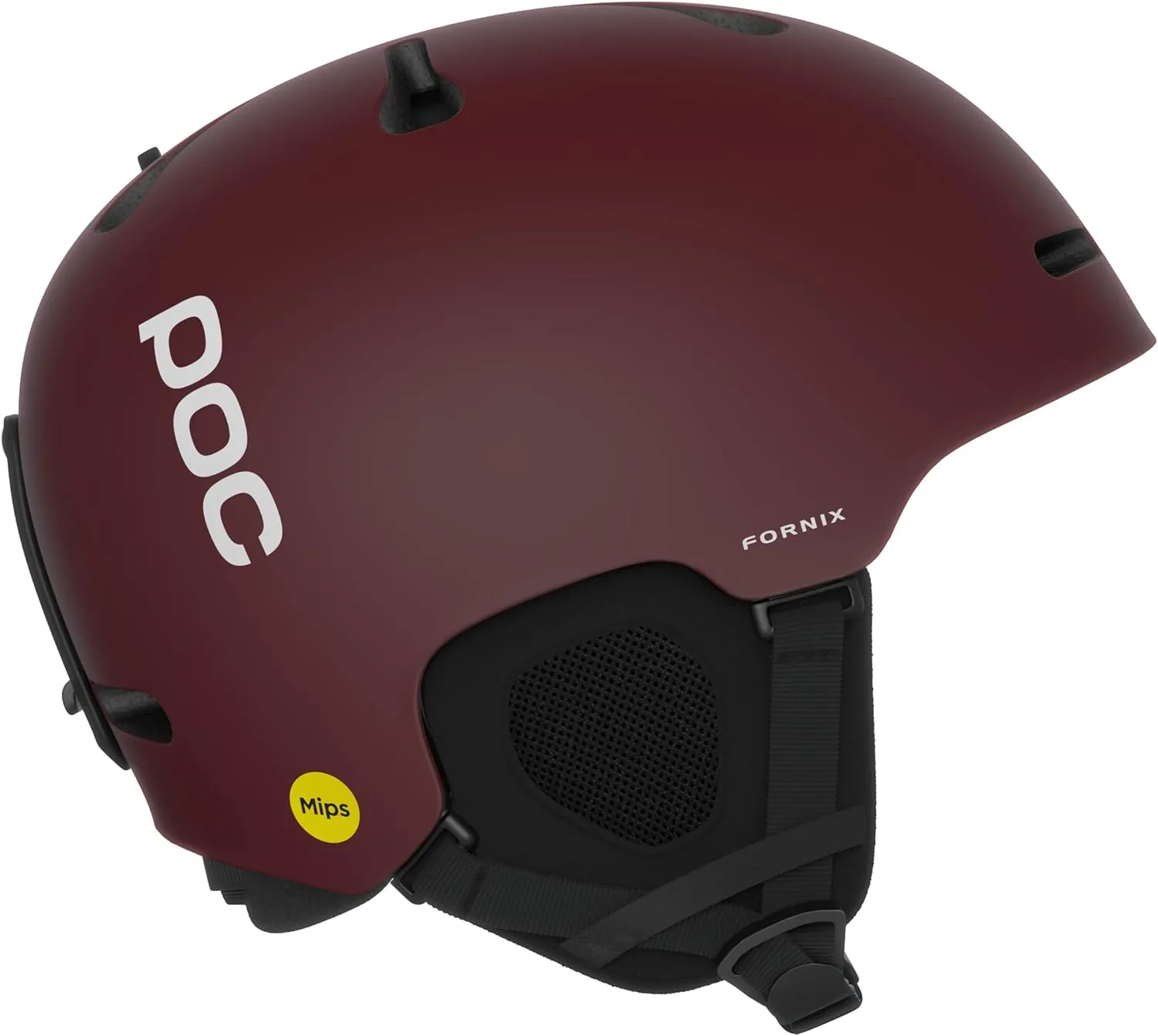 POC Fornix MIPS